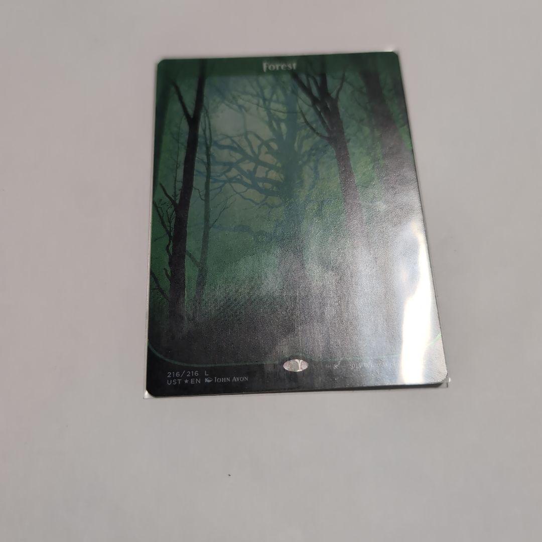 MTG 森 216 FOIL 英語版 unstable アンステーブル MTG 森 216 FOIL 英語版 unstable アンステーブル