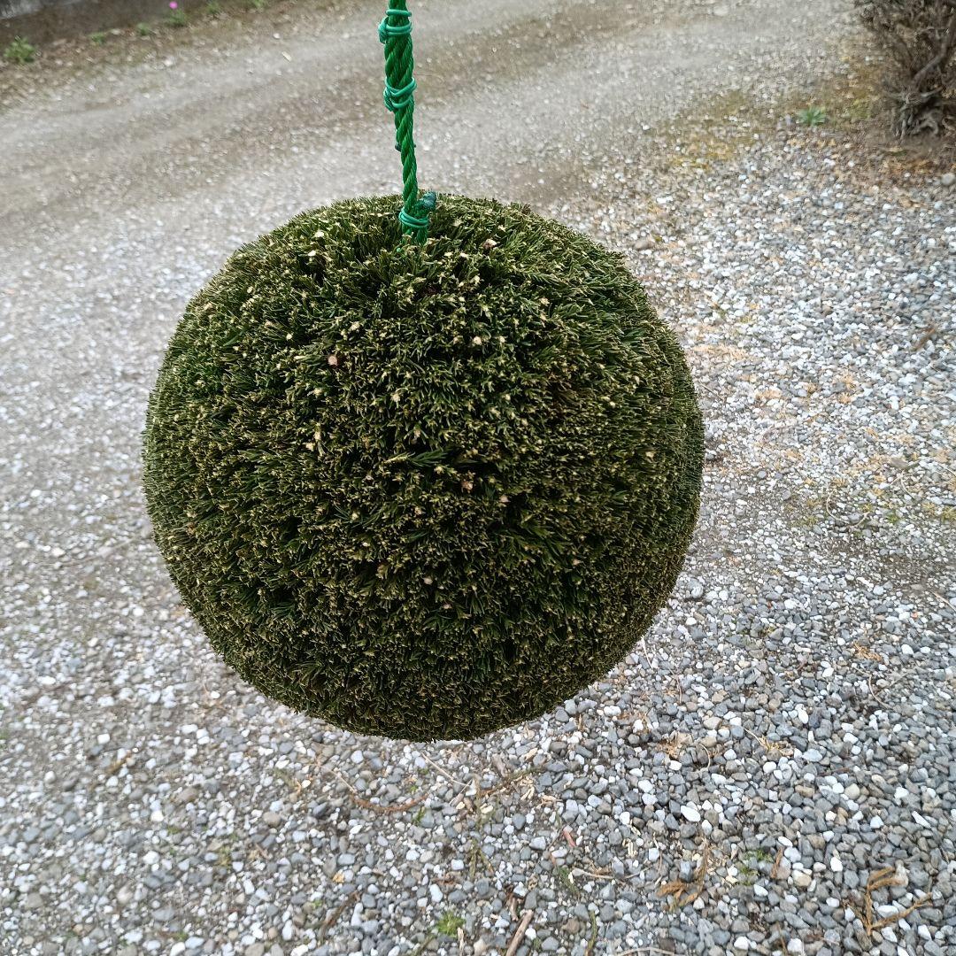 杉玉 直径約29cm 屋根なし - メルカリ