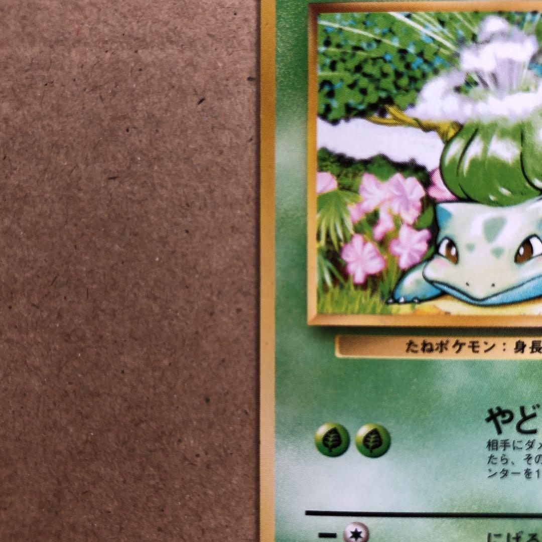 ポケモンカード フシギダネ 旧裏 初版 マークなし - メルカリ