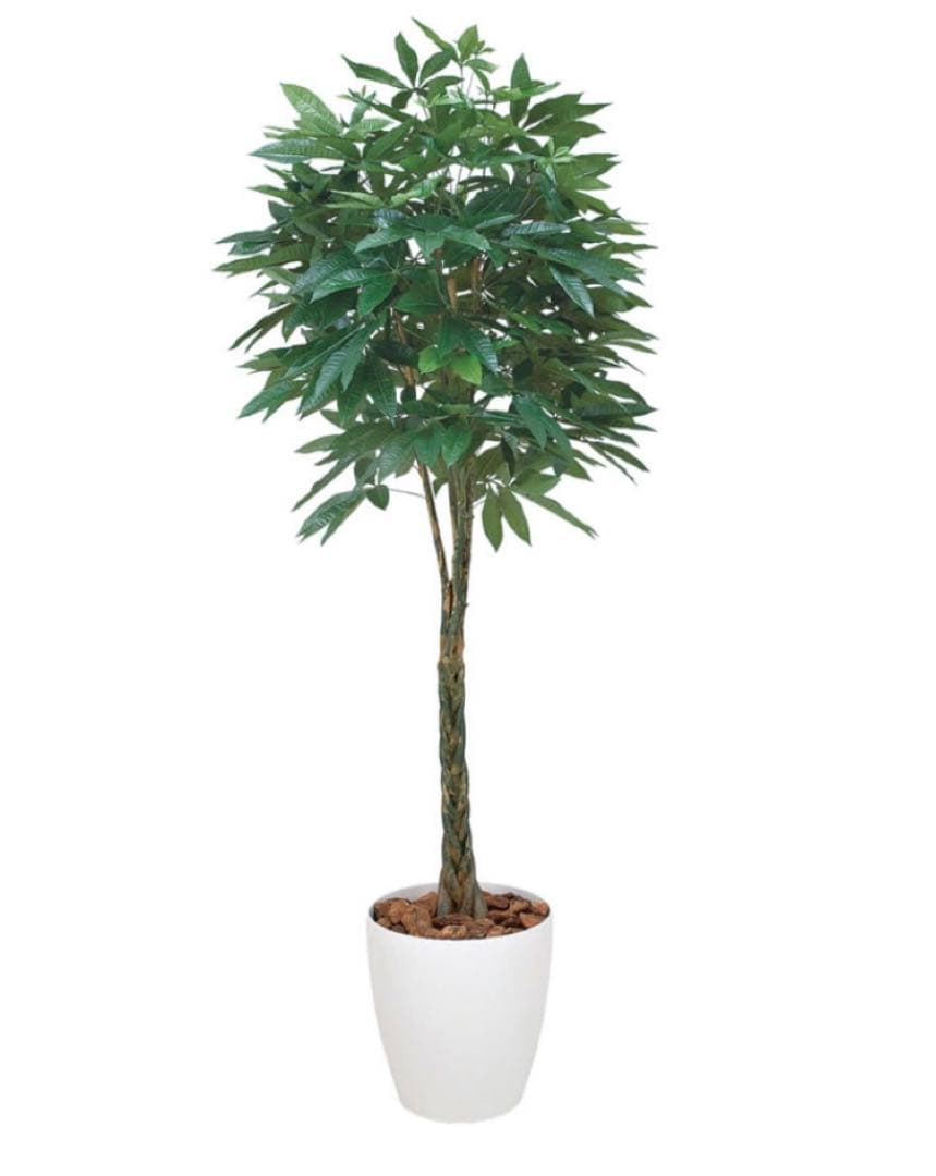 光触媒　人工観葉植物　ウォールグリーン　フェイクグリーン　パキラ 1.6m