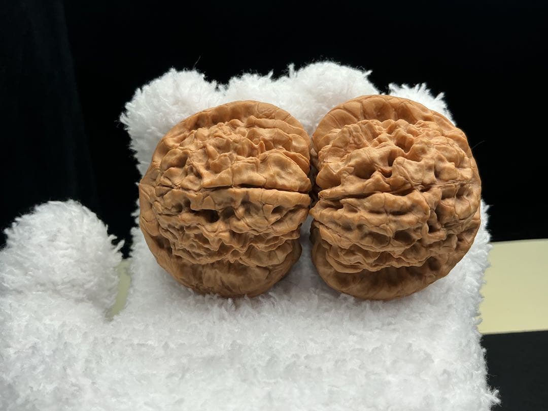 文玩堂：「龍鼎獅子頭 卒業級」51mm