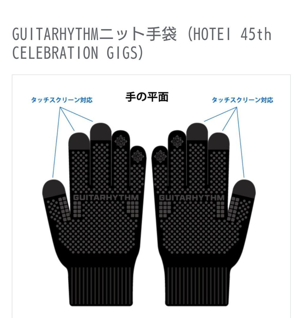 布袋寅泰 手袋 HOTEI 45th CELEBRATION GIGS - メルカリ