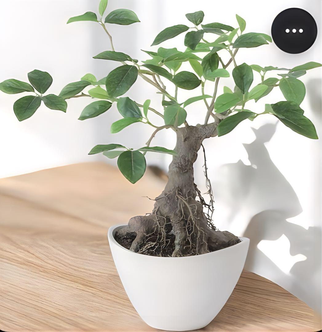 光触媒 人工観葉植物 ウォールグリーン フェイクグリーン ガジュマルボウル