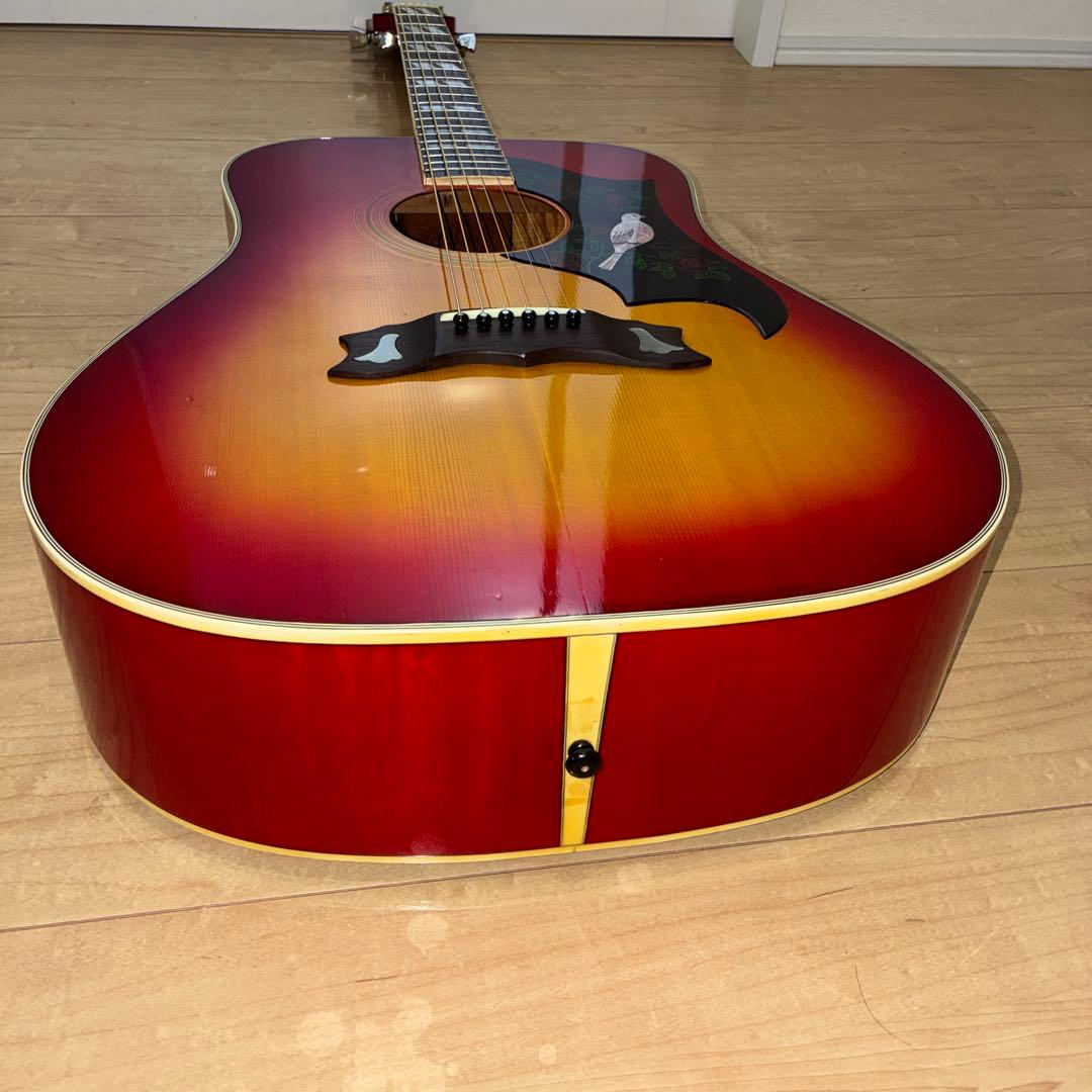 激レア美品Morris WD-35 DOVE コピー日本製 ジャパンビンテージ - メルカリ