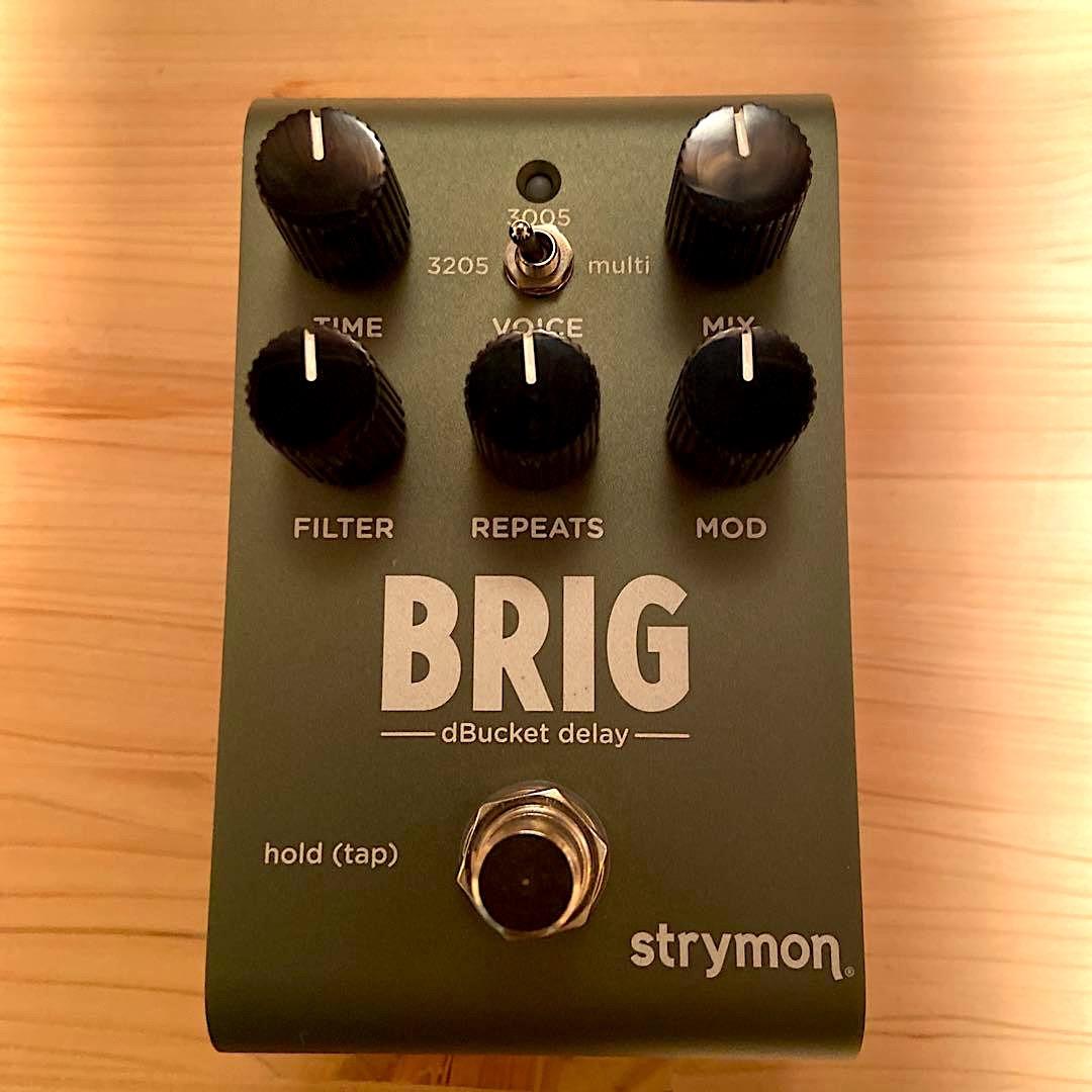 STRYMON ストライモン BRIG dBucket delay 美品 Strymon Brig Multi-Voiced dBucket Delay Effects Pedal Green
