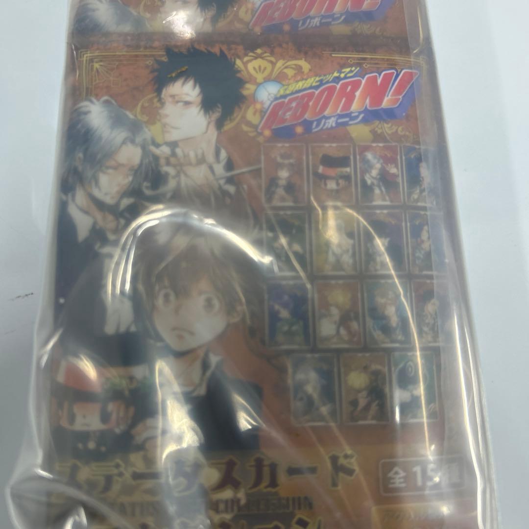 家庭教師ヒットマンREBORN! ステータスカードコレクション未開封15個