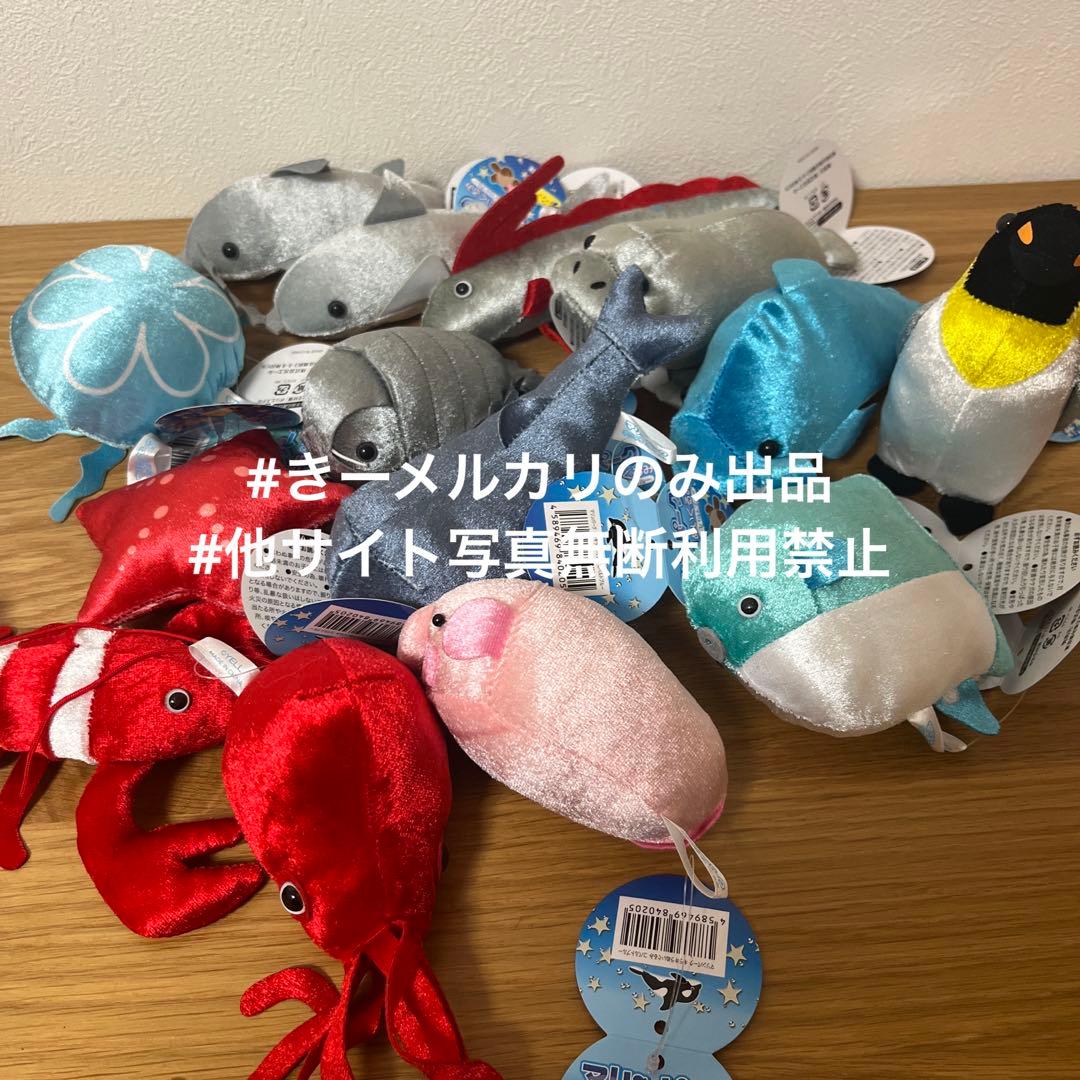 マリンパーク キラキラ ぬいぐるみ 14個 - メルカリ