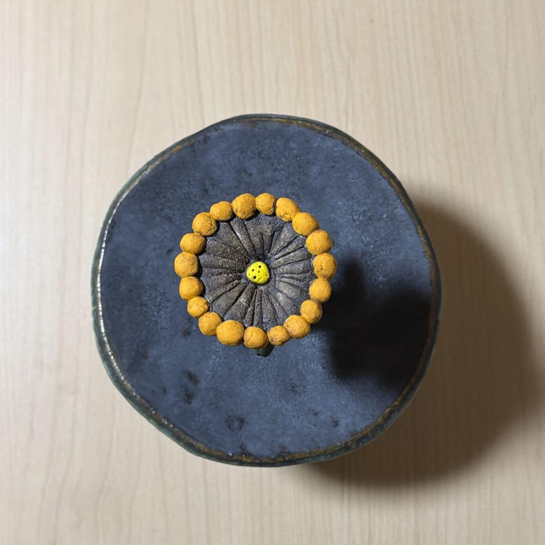 本田あつみ ふたもの 蓋もの 器 ボウル 陶器 フラワー 花 flower 黄色
