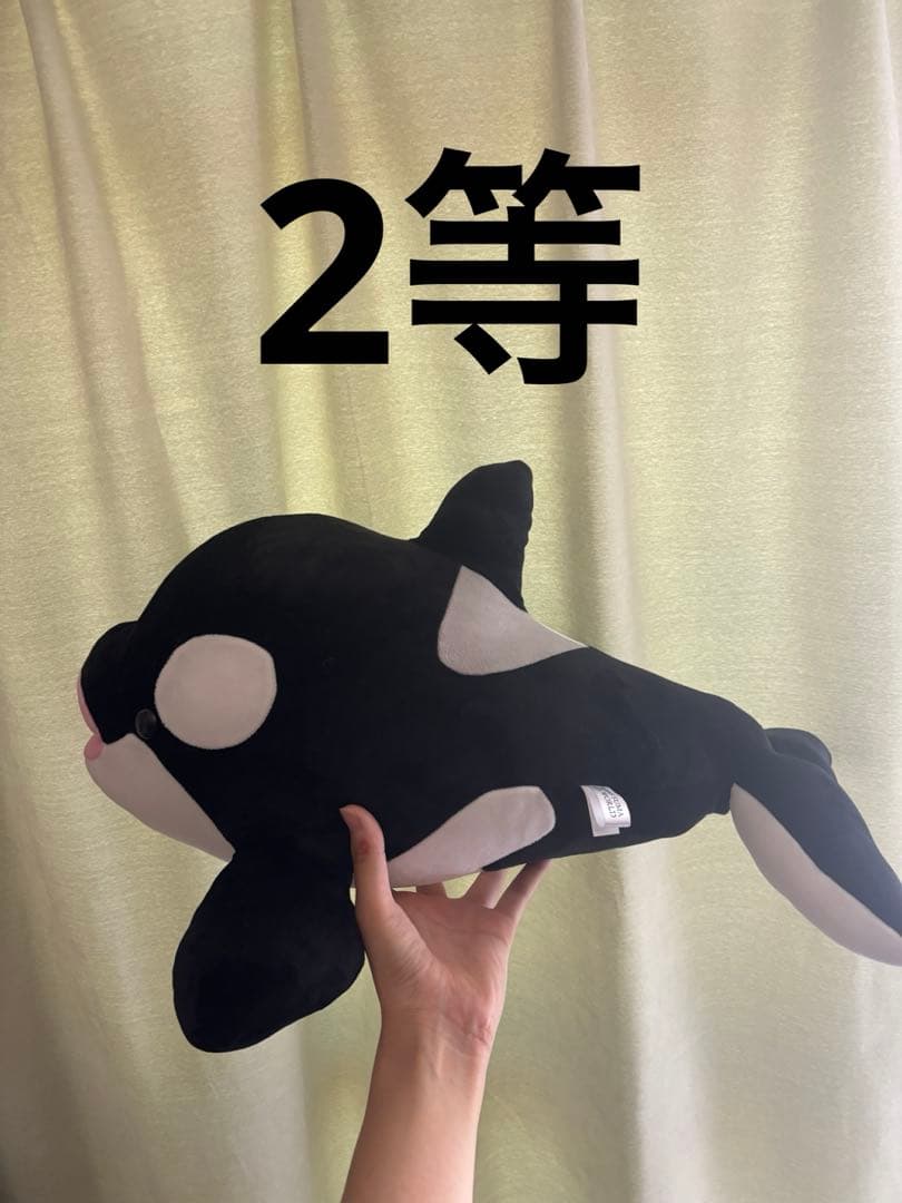須磨シーワールド オルカくじ 2等 シャチ ぬいぐるみ - メルカリ