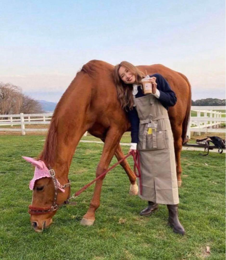 nasufarmvillage 那須ファームビレッジ エプロン - メルカリ