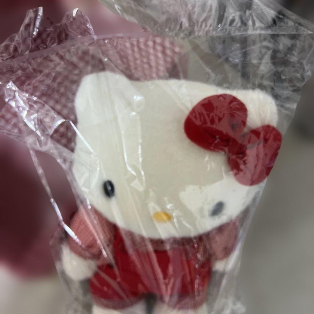 希少！非売品シリアルナンバー付 ハローキティ ぬいぐるみ 未開封