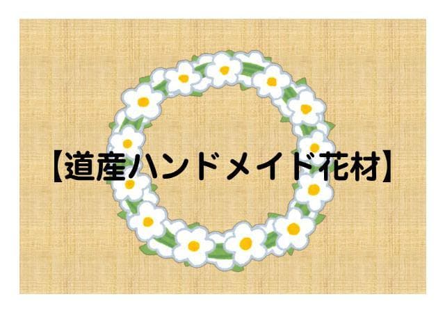 リース材料 蔓 キウイ近縁種 120サイズ TK⑰ ※「自然素材」盗用お断り