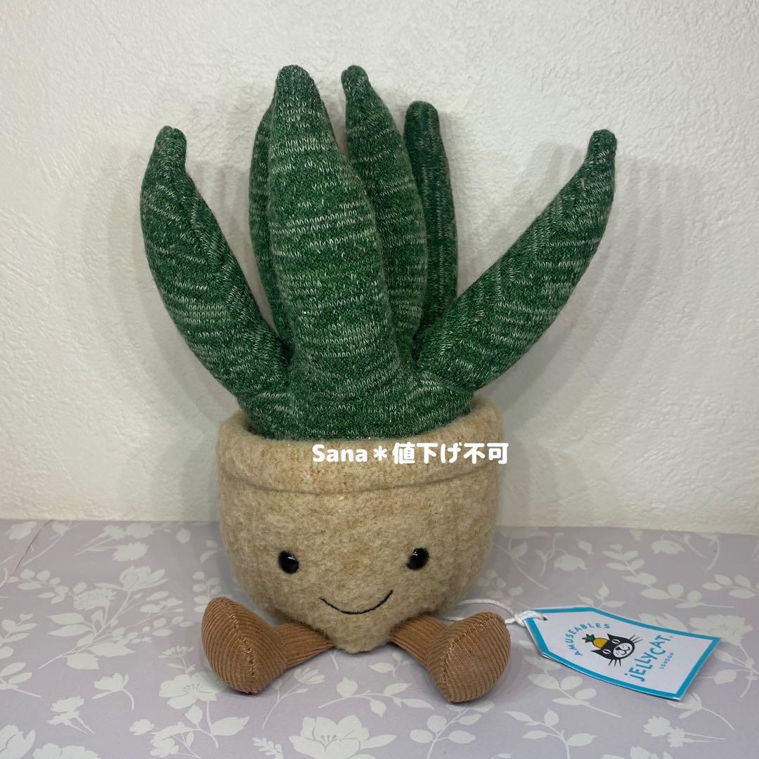 新品 JELLY CAT アロエ 植物 多肉植物 アロエベラ 観葉植物 緑 - メルカリ
