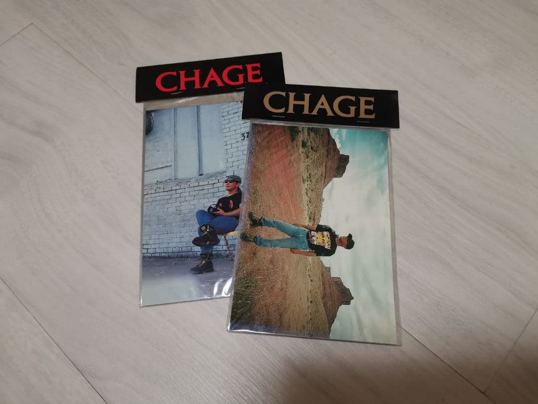 CHAGE パンフ、クリアファイル、レアグッズセット - メルカリ