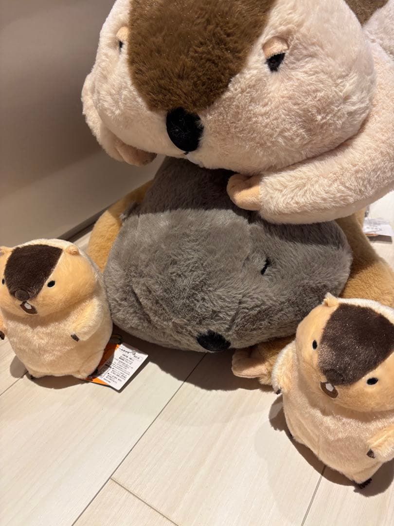 Dｒ.マーモットまもちおもプクのぺたーん＆マモ相撲ぬいぐるみ&絶叫ギミックセット ≪12月の新商品≫Dr.マーモットまもちおもプクのぺたーん＆マモ相撲