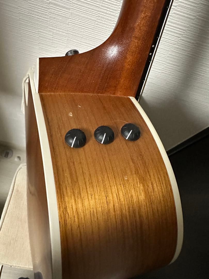 Taylor 214Koa アコースティックギター カッタウェイ | Shop at