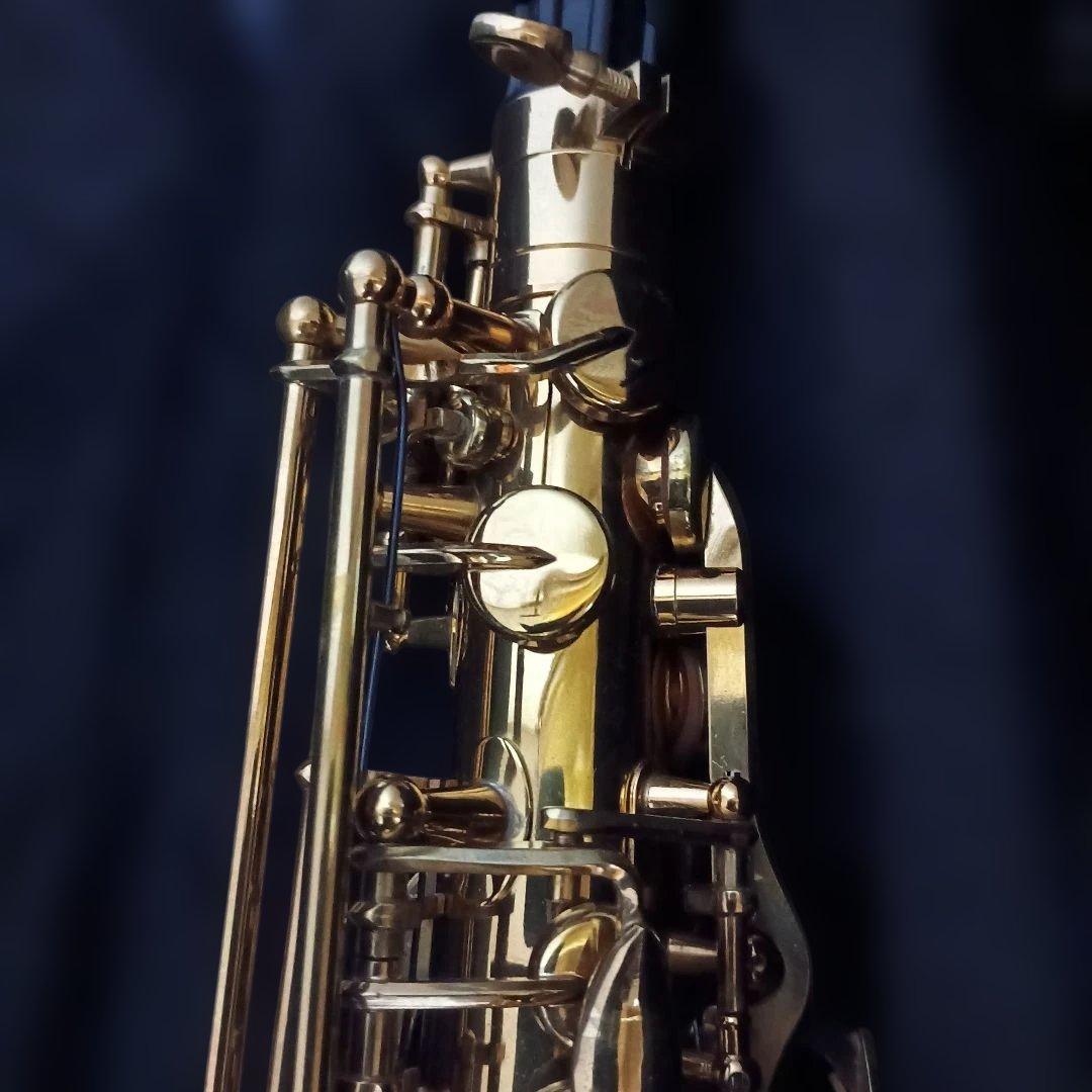 美品】SELVA アルトサックス 初心者 SAS-100K サクソフォーン - メルカリ