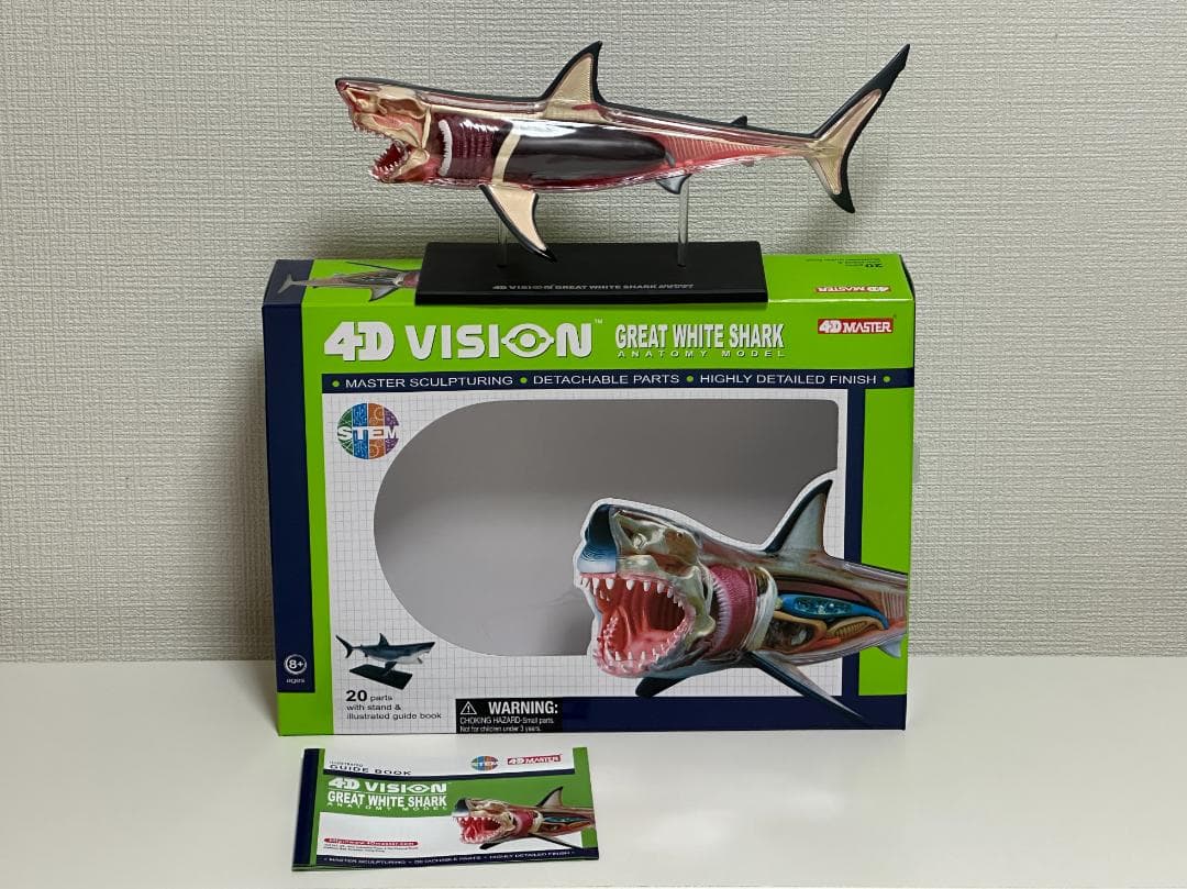 4Dビジョン ホホジロザメ 鮫 解剖モデル Great White Shark - メルカリ
