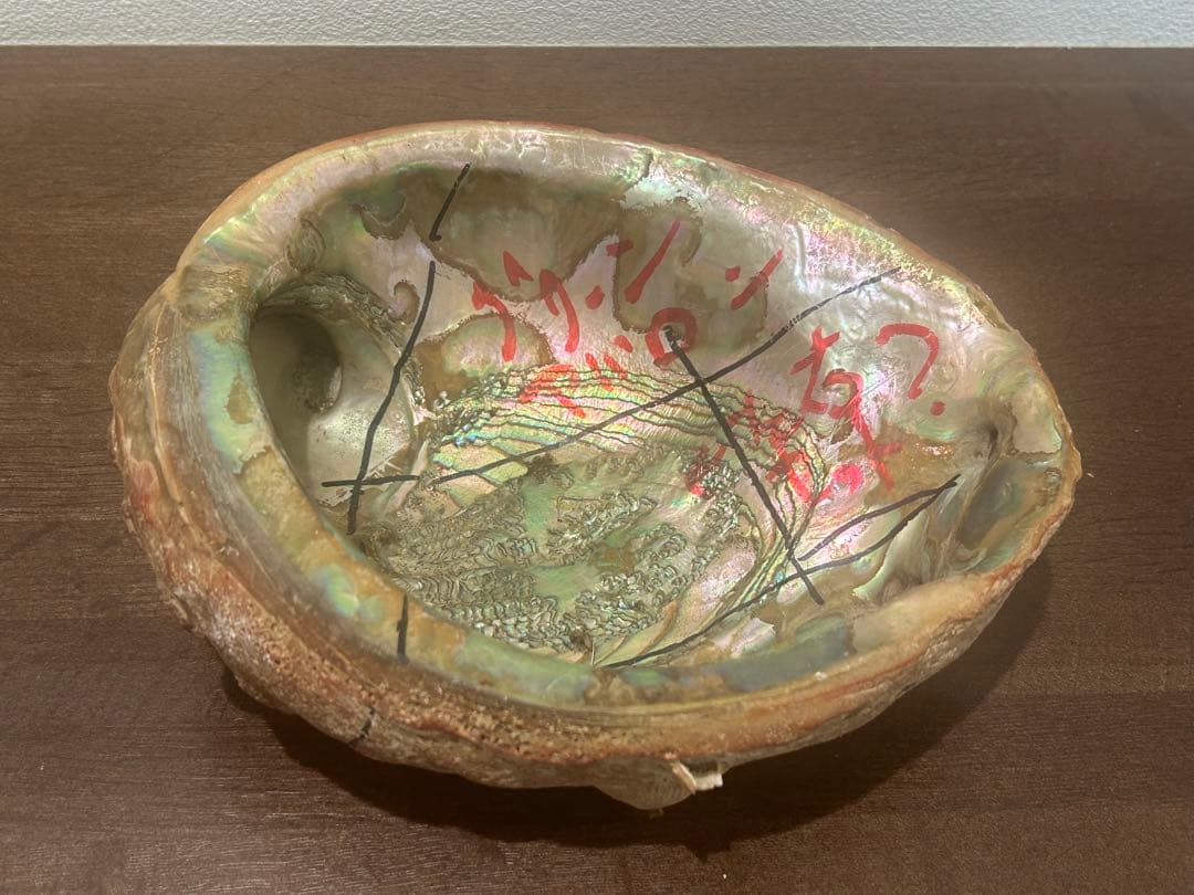 グリーンアバロン　原貝　貝殻　アバロンシェル　865g 約21×16cm アバロンシェルホルダー 大きめ (10-12cm) 貝 虹色 小物入れ 香木