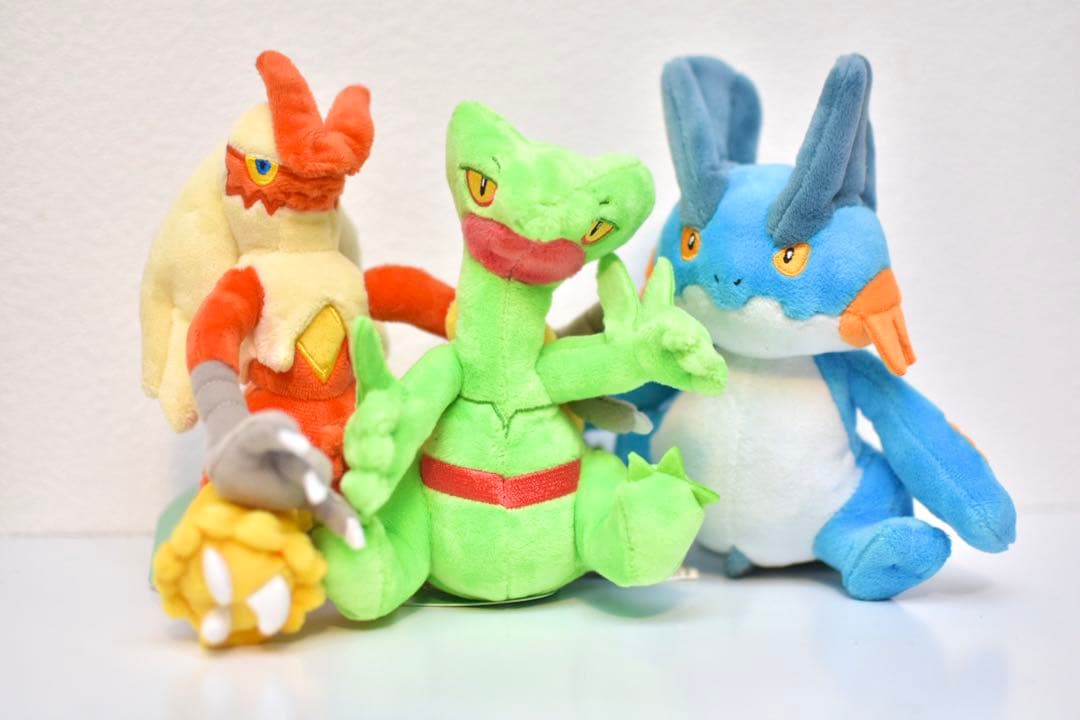ジュカイン バシャーモ ラグラージ ぬいぐるみ Pokémon fit セット