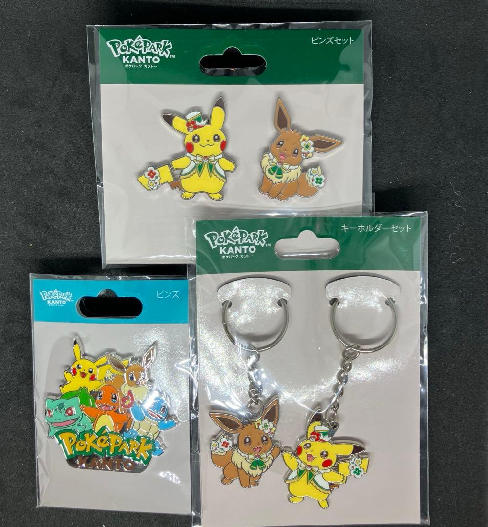 ポケパーク カントー 限定 ピンズ ピンズセット キーホルダーセット