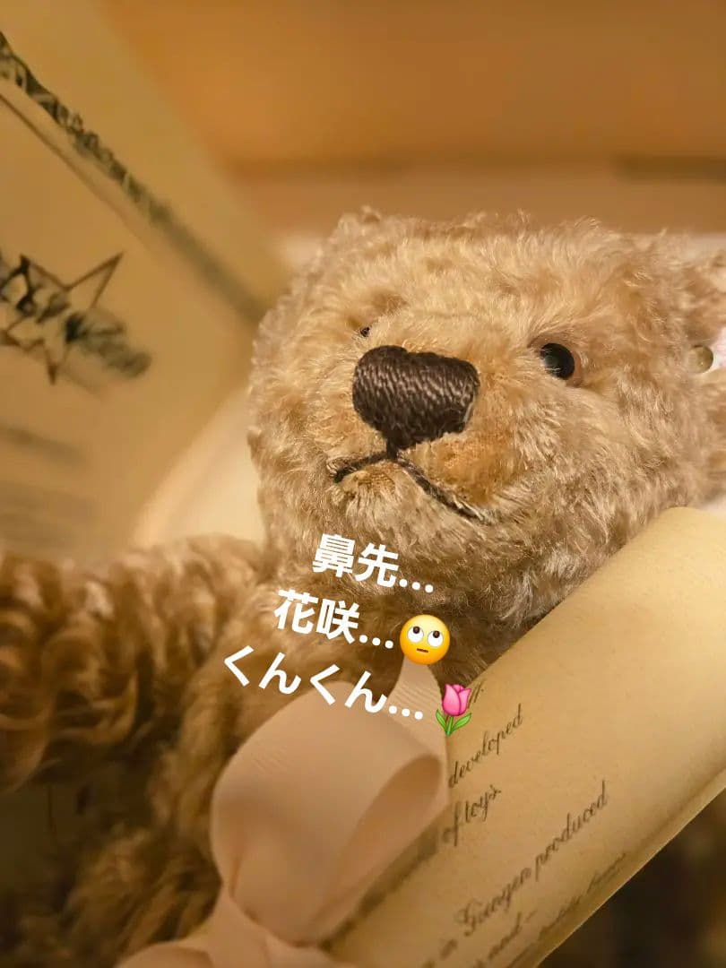 ✨セール最終価格✨【希少】シュタイフテディベア✴ハリウッド・ベア