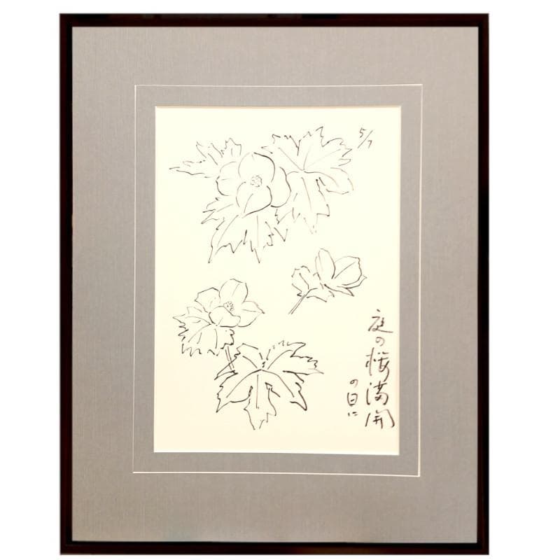 ☆坂本直行☆「 しらねあおい（庭の桜満開の日に）」ペン画 未使用！ 桜満開の季節にぴったり！29種もの桜を写生した江戸時代の絵師 坂本