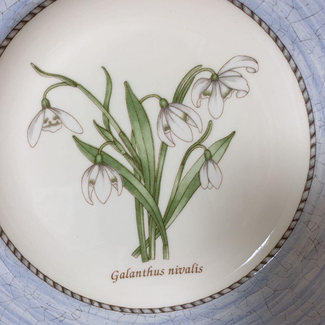 WEDGWOOD サラズガーデン スノードロップ プレート3枚セット - メルカリ