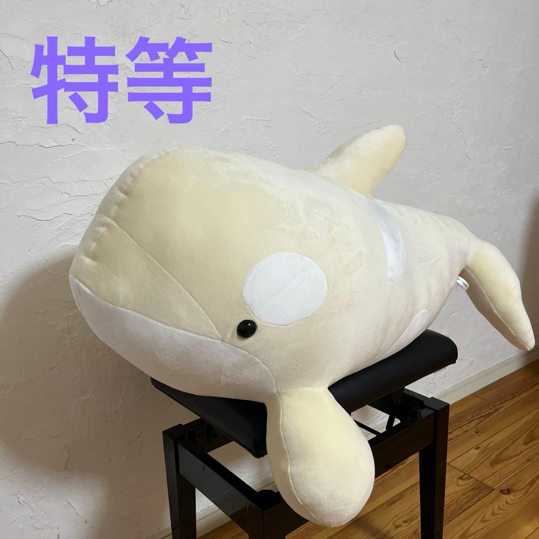 名古屋港水族館 シャチ 白 ぬいぐるみ ぬいぐるみくじ 特等 アルビノ