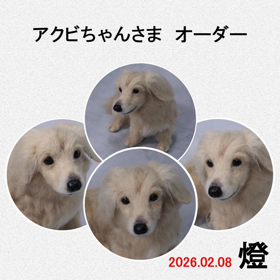 羊毛フェルト アクビちゃん様 ミニチュアプードル 犬 ハンドメイド