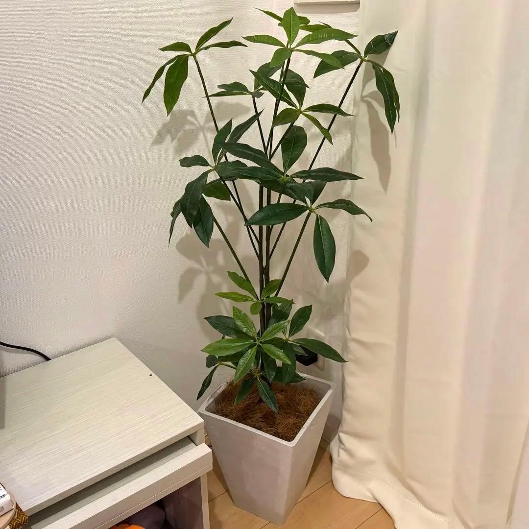 フェイクグリーン パキラ 大型 約120cm 鉢付 リーベン フェイクグリーン 大型 パキラ 120cm 観葉植物 ファイバー