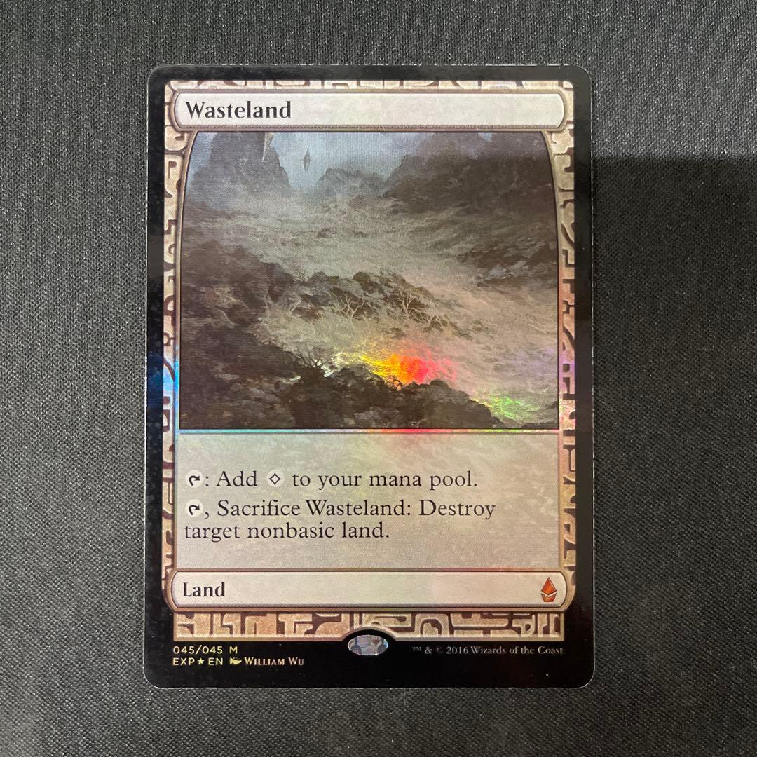Wasteland 不毛の大地 FOIL 045/045 MTG 不毛の大地 (Wasteland) · Eternal Masters (EMA) #248 · Scryfall