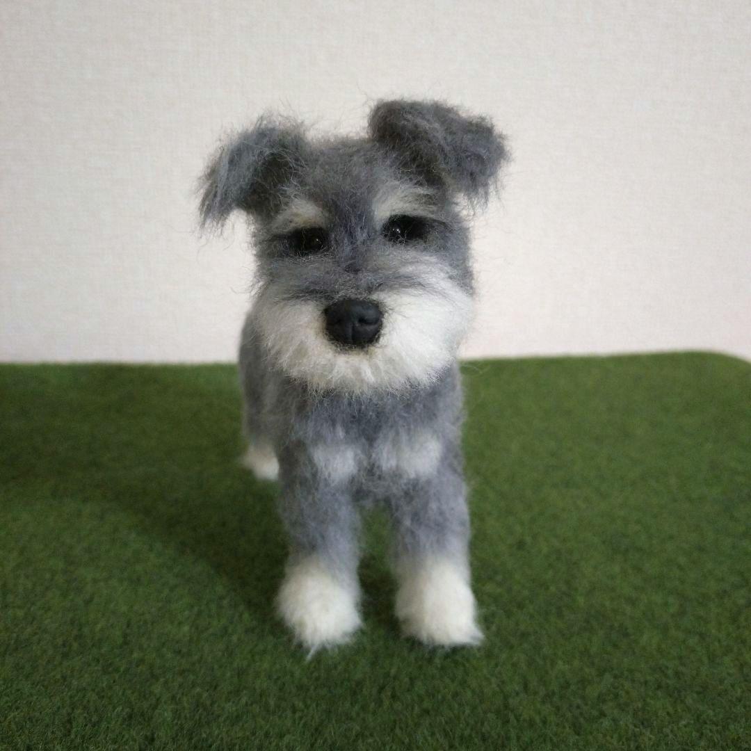 羊毛フェルト 犬 ミニチュアシュナウザー ハンドメイド - メルカリ