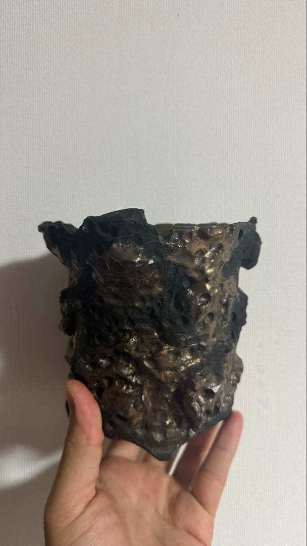 宮下将太 作家鉢 Coral Pot 陶芸家 | 宮下将太 | 植物の器 (@miyashitashota_plants) • Instagram