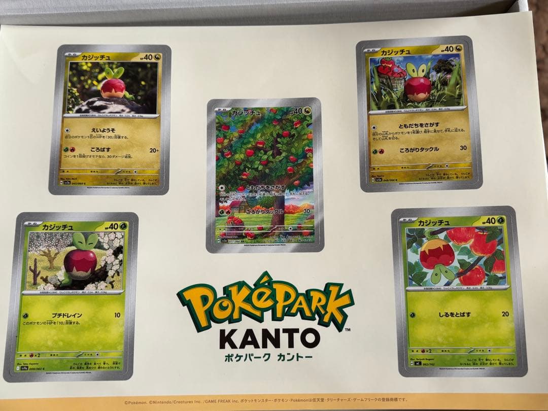 ポケパークカントーピンズ10個とプレミアムボール、シール、研究ノート