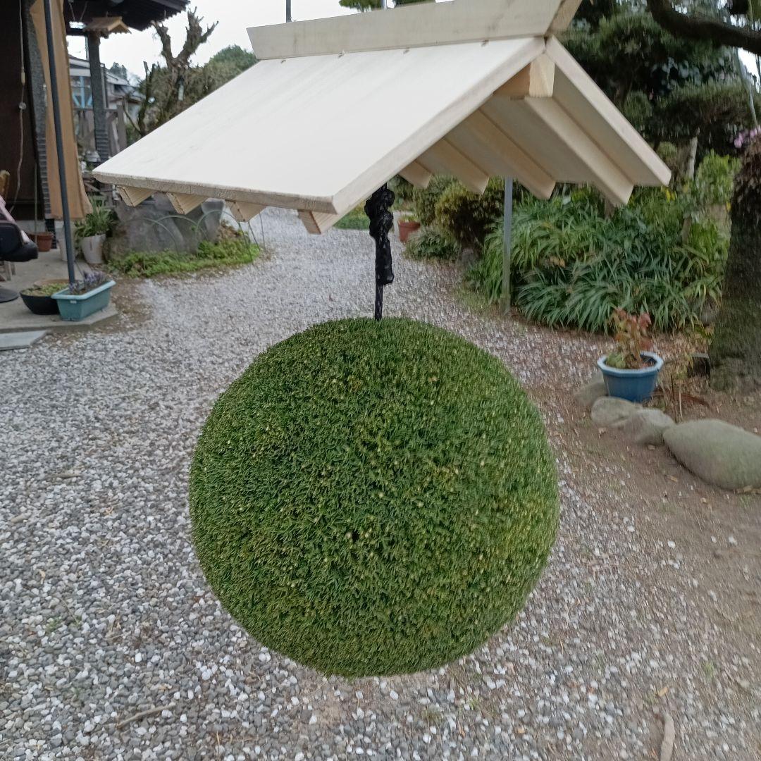 杉玉 直径約35cm 屋根付き - メルカリ