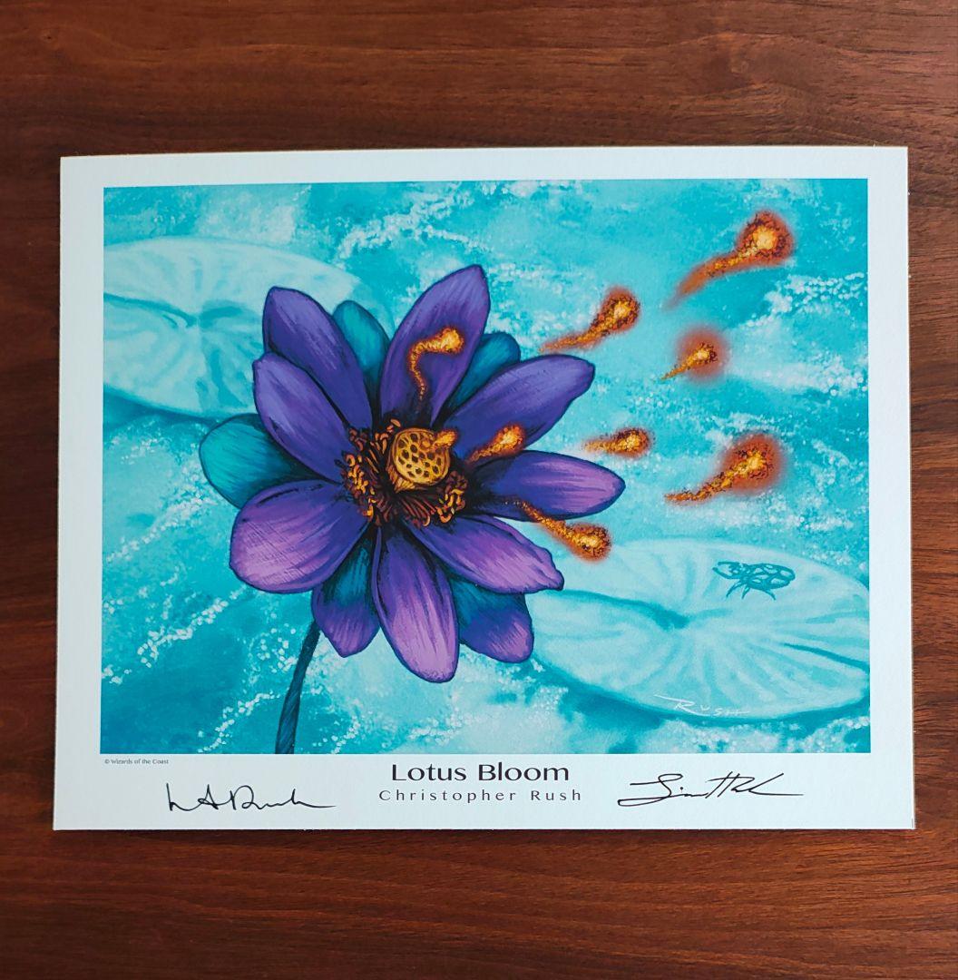 アートプリント　睡蓮の花　Lotus Bloom MTG　複製原画 FOIL)睡蓮の花/Lotus Bloom《日本語》【Buy-A-Box Promos(TSR)】