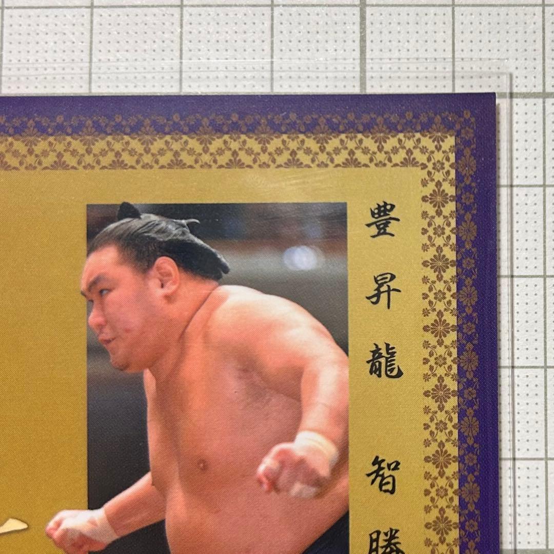 BBM 2026 大相撲カード インサート 巨星 豊昇龍 智勝 50枚限定 - メルカリ