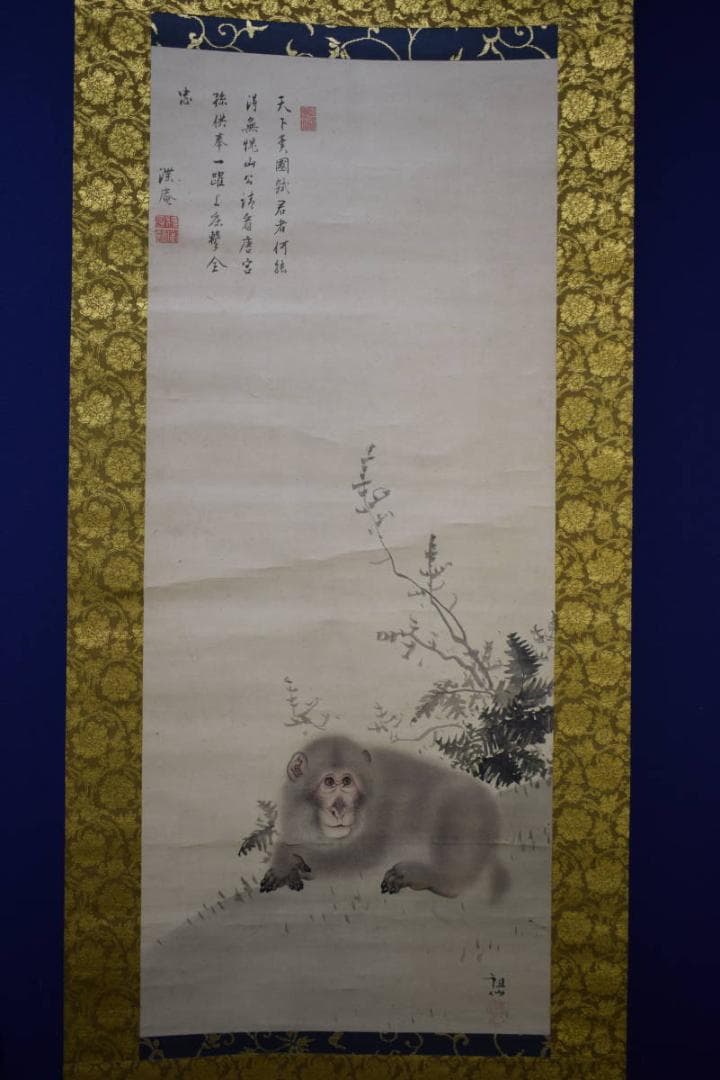 真作/森派の祖/森祖仙/猿画賛/金襴表装/布袋屋掛軸HI-101 - メルカリ