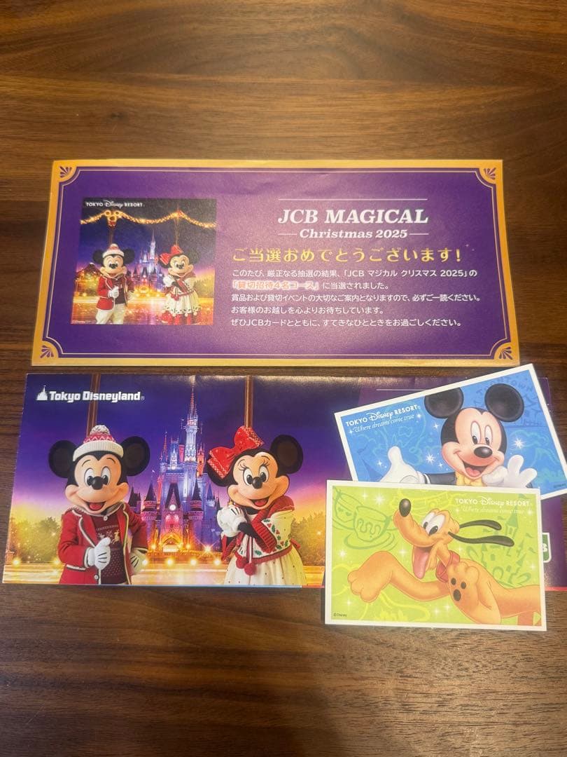 東京ディズニーランド　12月5日貸切　JCBマジカルクリスマス2025ナイト2枚 終了しました】JCB マジカル クリスマス 2025 クリスマス時期の東京