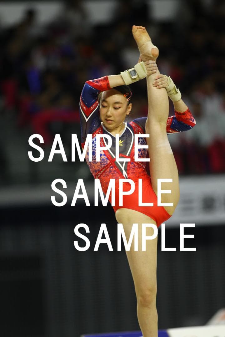 ☆9/15まで値引☆日本女子体操選手画像集(2019年) 約82,500枚 - blog