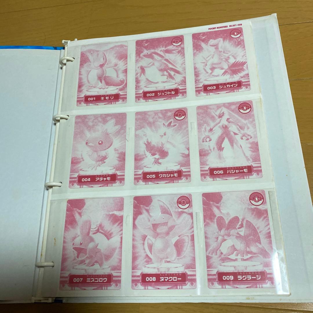 ポケモンカードダス アドバンスジェネレーション ポケモンずかんカード