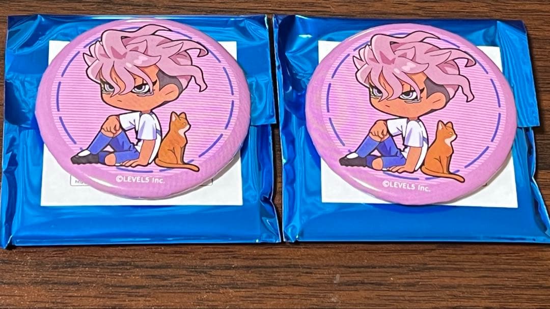 イナズマイレブン 英雄たちのヴィクトリーロード まねきねこ 缶バッジB