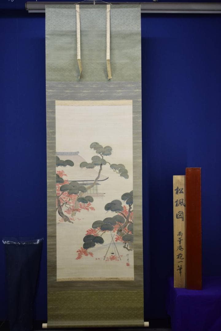模写/酒井抱一/松楓図/桐題箱二重箱付/布袋屋掛軸HF-982 - メルカリ