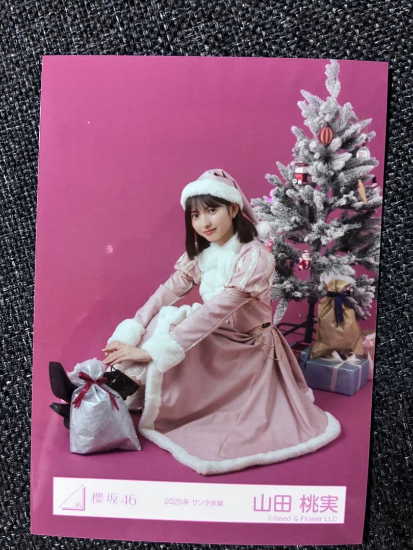 櫻坂46 山田桃実 生写真 2025年サンタ衣装 - メルカリ