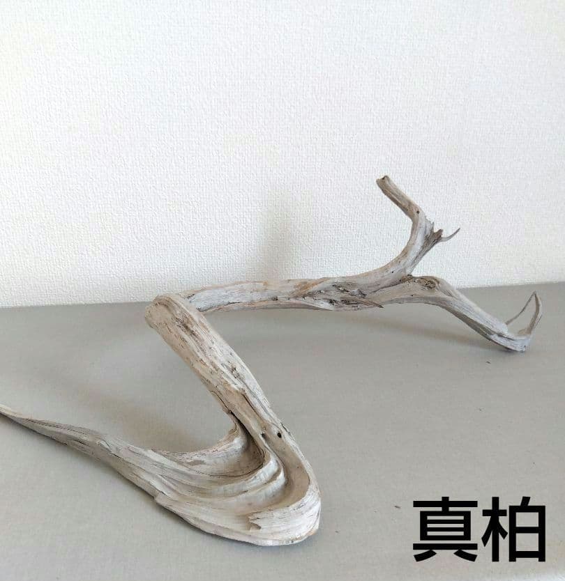 真柏の枯木 盆栽の枯れ木(カレボク)② 神 - メルカリ