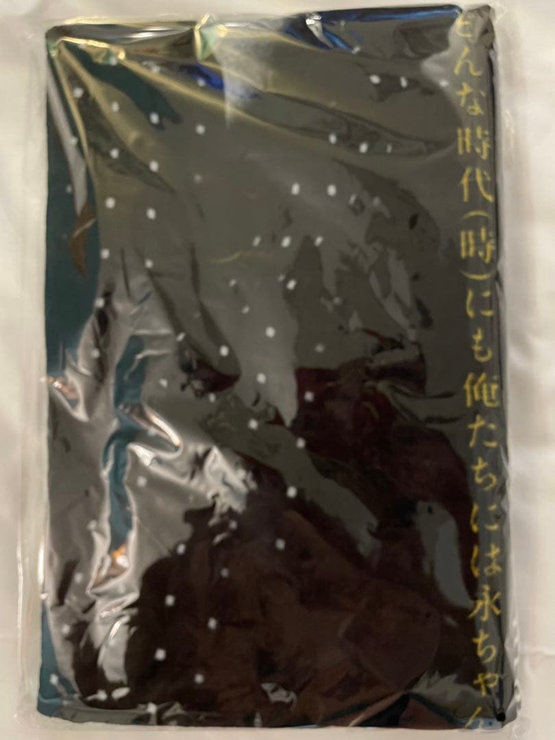俺たちの矢沢永吉展 SBT スペシャルビーチタオル - メルカリ