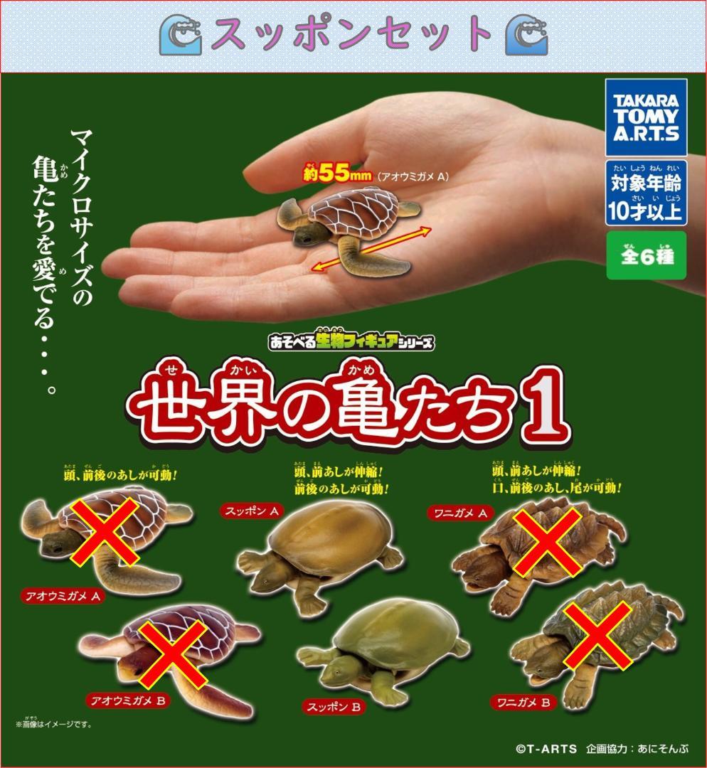 あそべる生物フィギュアシリーズ 世界の亀たち1 スッポン セット