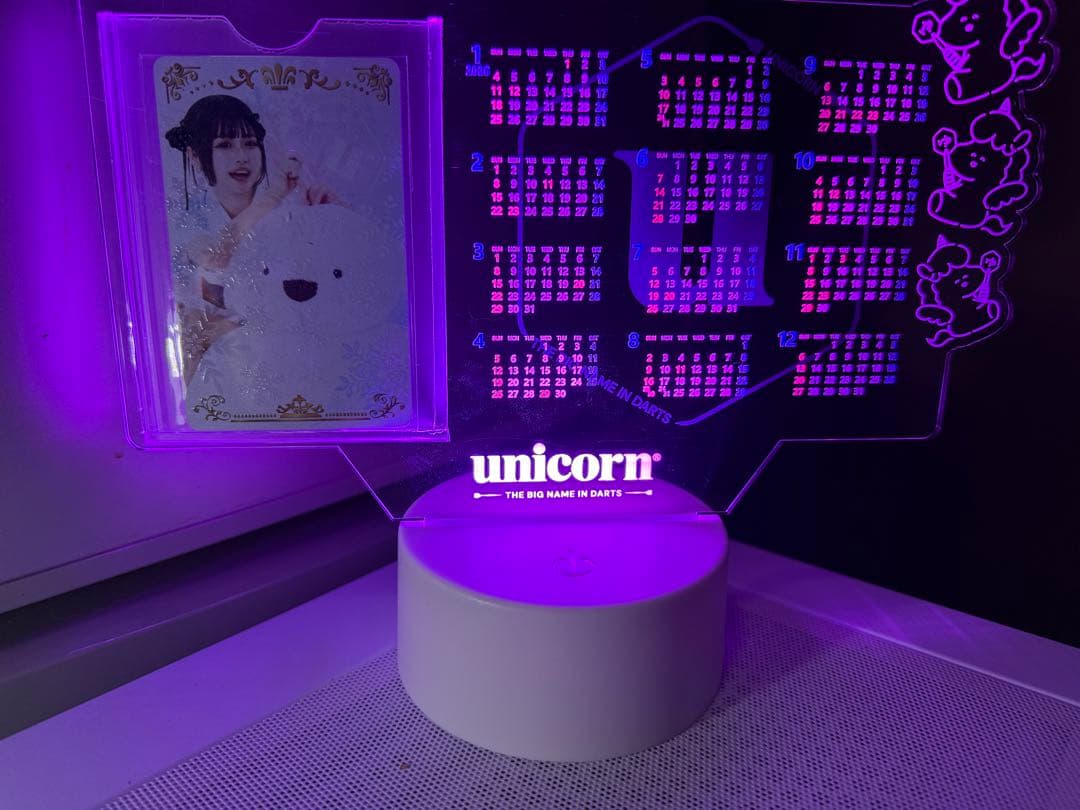 文山雪華選手ダーツライブカード➕クリアカレンダーセット付き