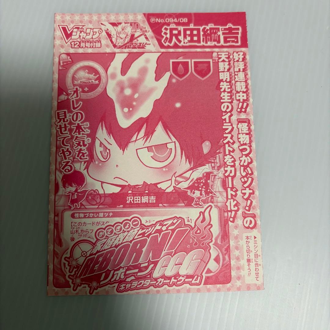 家庭教師ヒットマンREBORNリボーンCCG 怪物づかいツナ 沢田綱吉 天野明